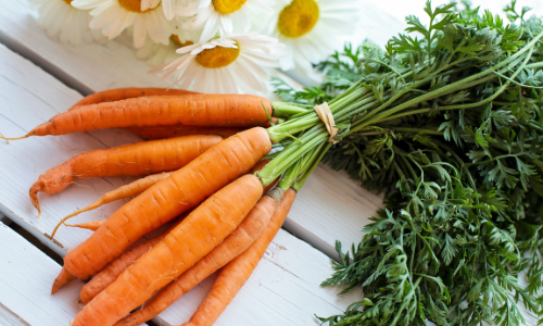 Huile végétale de carotte bienfaits